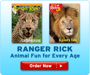 Ranger Rick is now available for all ages!